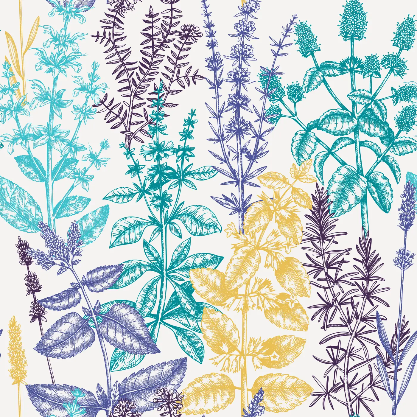 Mints and balms seamless pattern. Hand sketched aromatic and medicinal herbs background. Herbal tea ingredients. Mint plants for cosmetics, perfumery, textile, wrapping, packaging, fabric.  Illustration